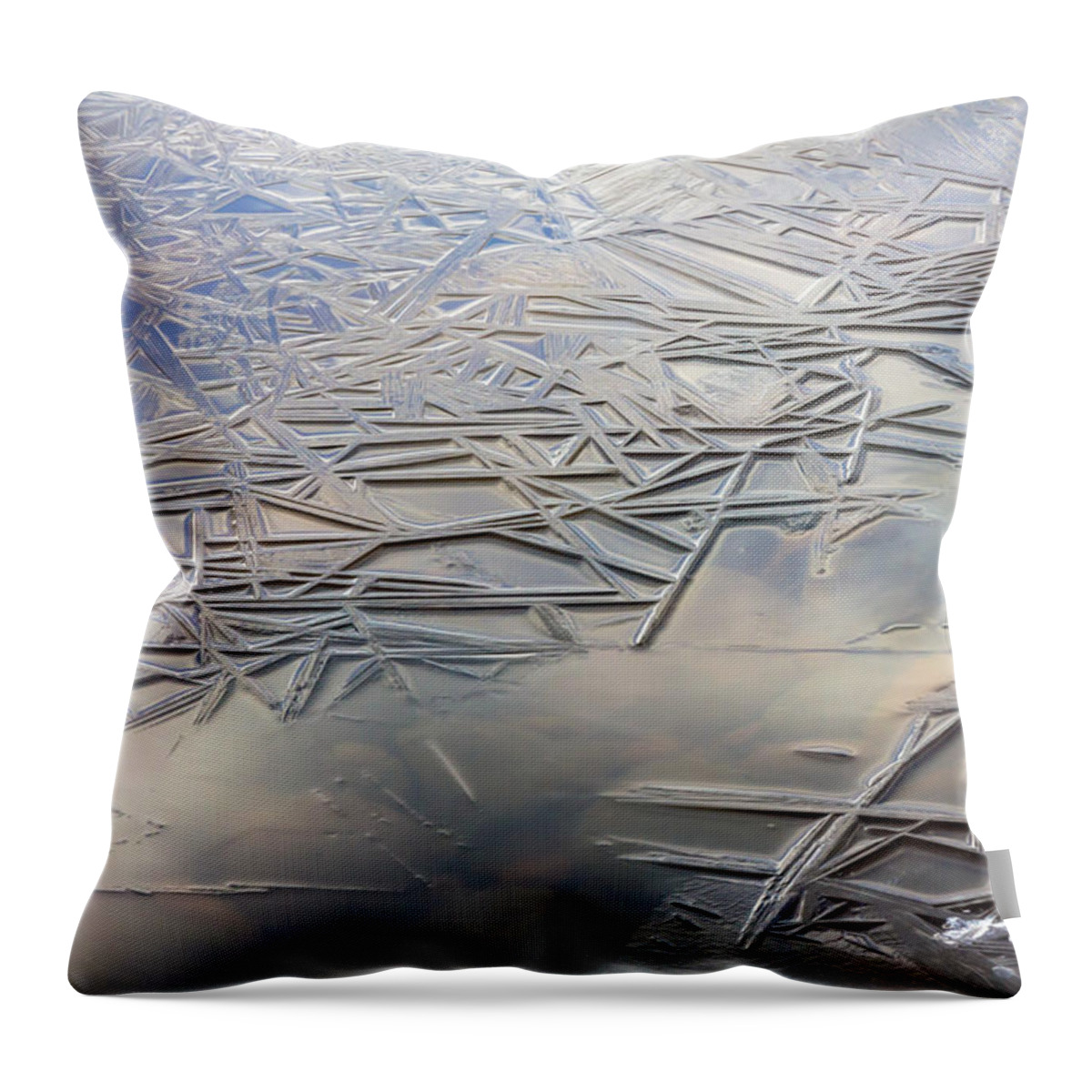 Ice Throw Pillow featuring the photograph Coolness by Mary Amerman