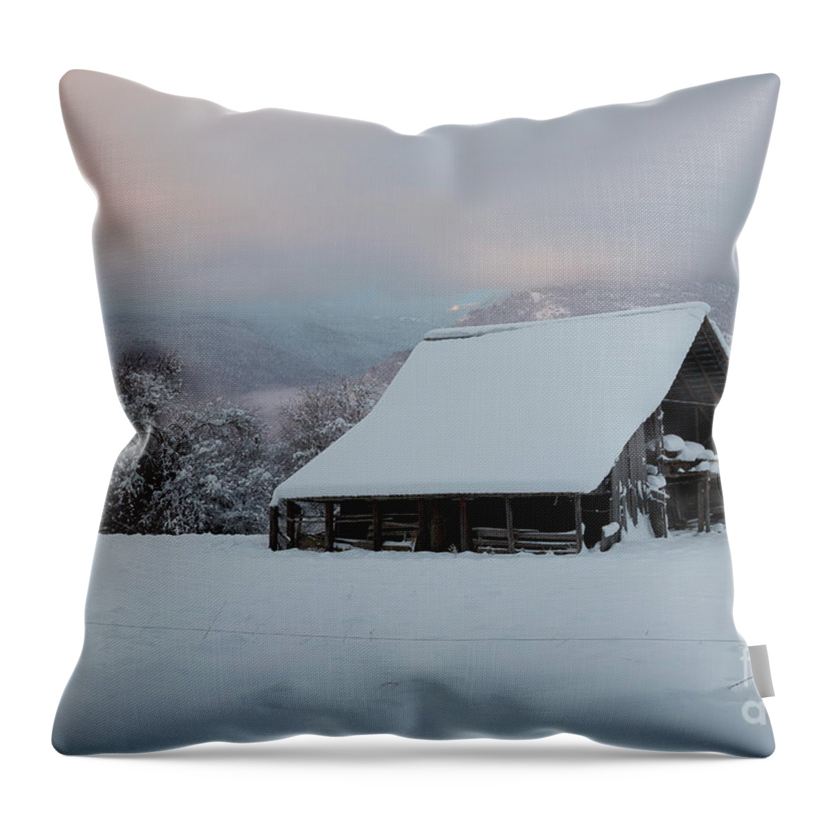 Copeland Throw Pillow featuring the photograph Copeland Dawn by Idaho Scenic Images Linda Lantzy