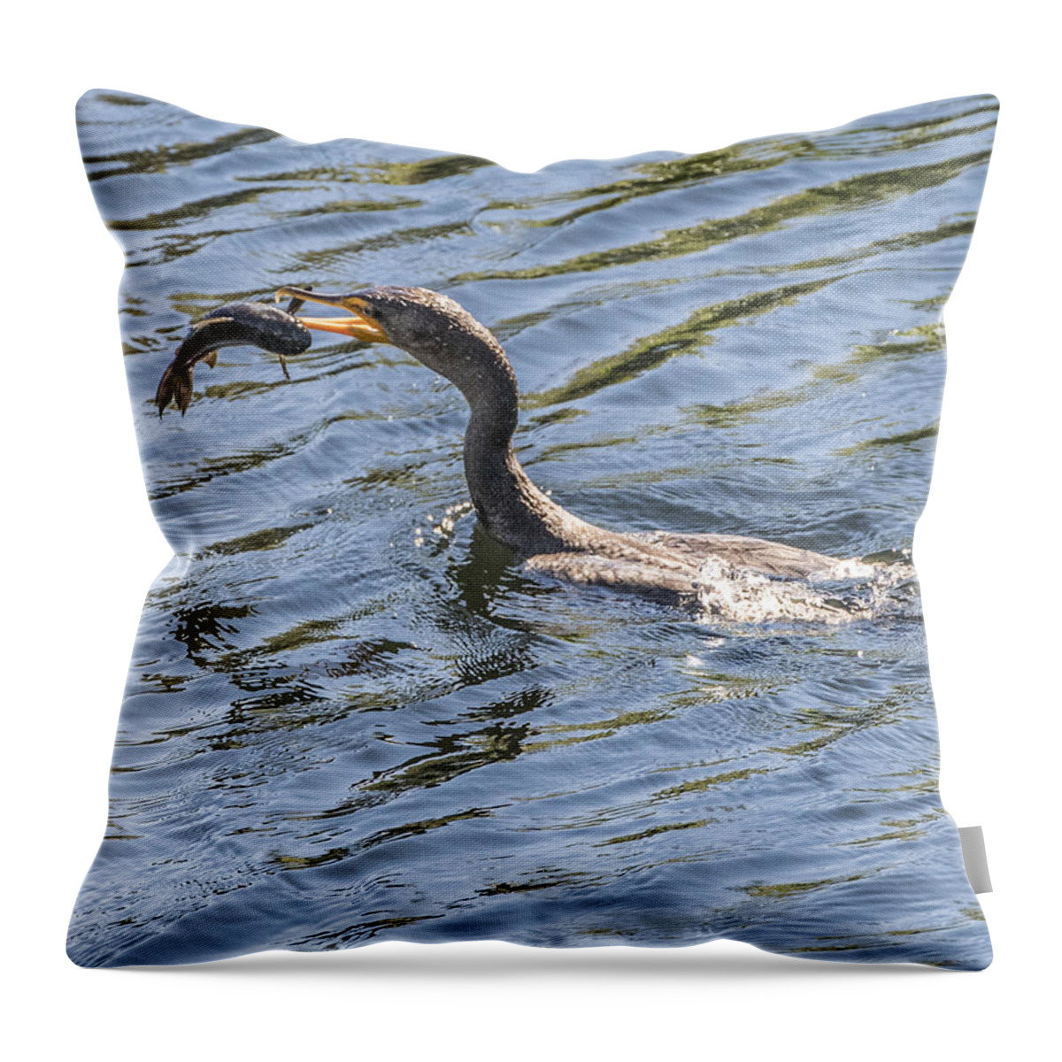 Cormorant Throw Pillow featuring the photograph Cormorant Caught Fish by William Bitman