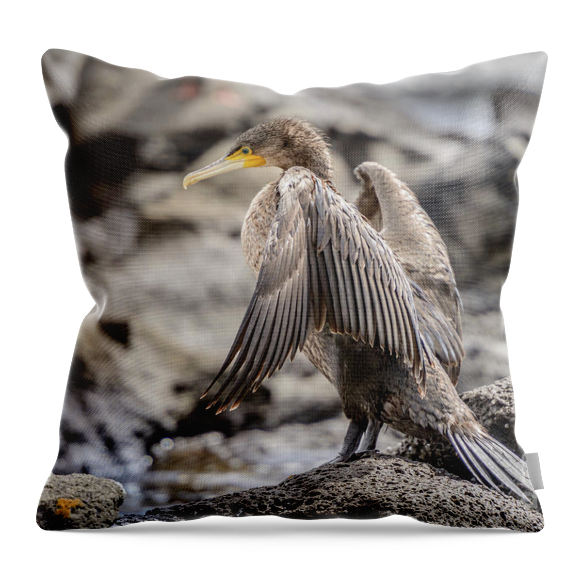 Bird Throw Pillow featuring the photograph Cormorant NSW01 by Werner Padarin