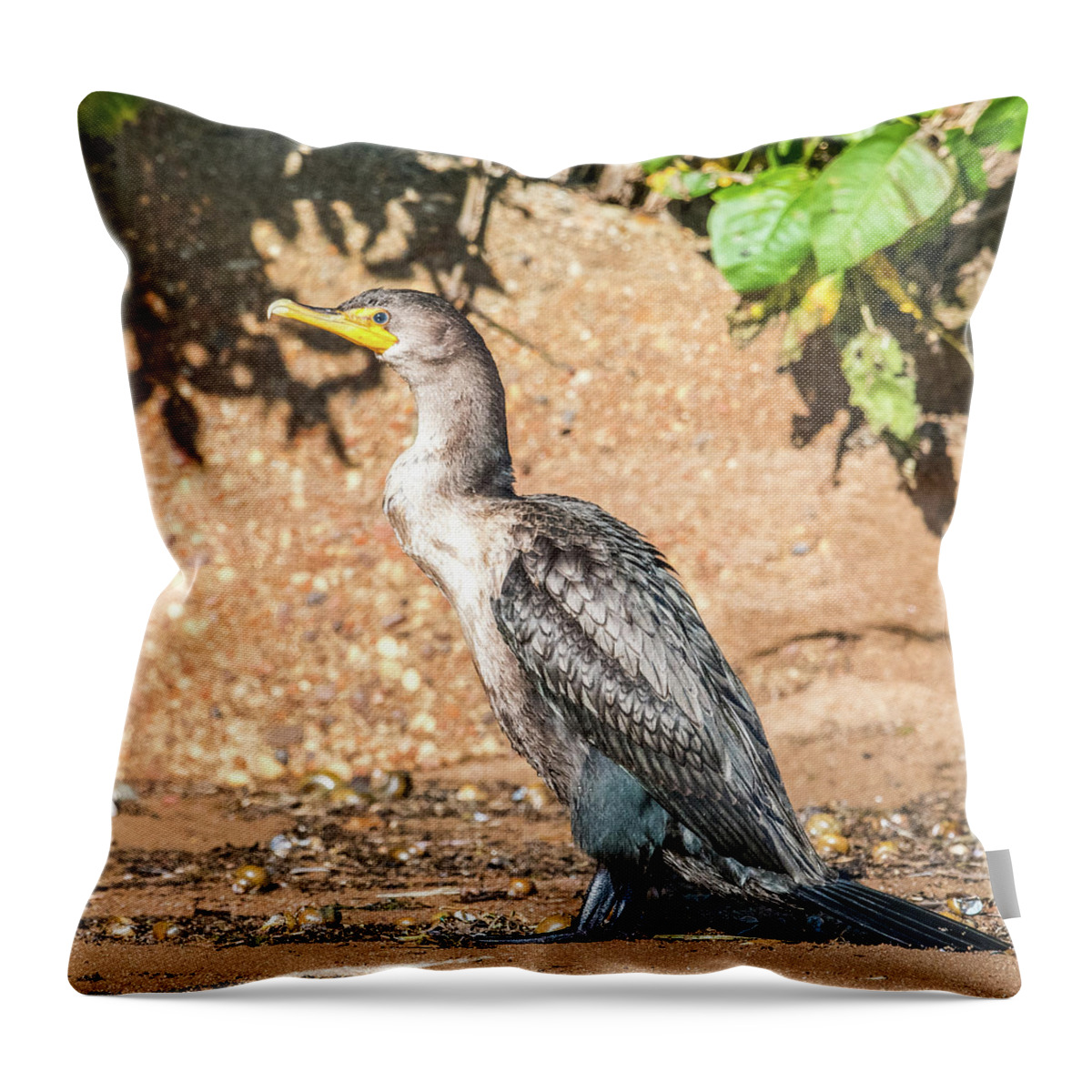 Cormorant Throw Pillow featuring the photograph Cormorant on Shore by Paul Freidlund