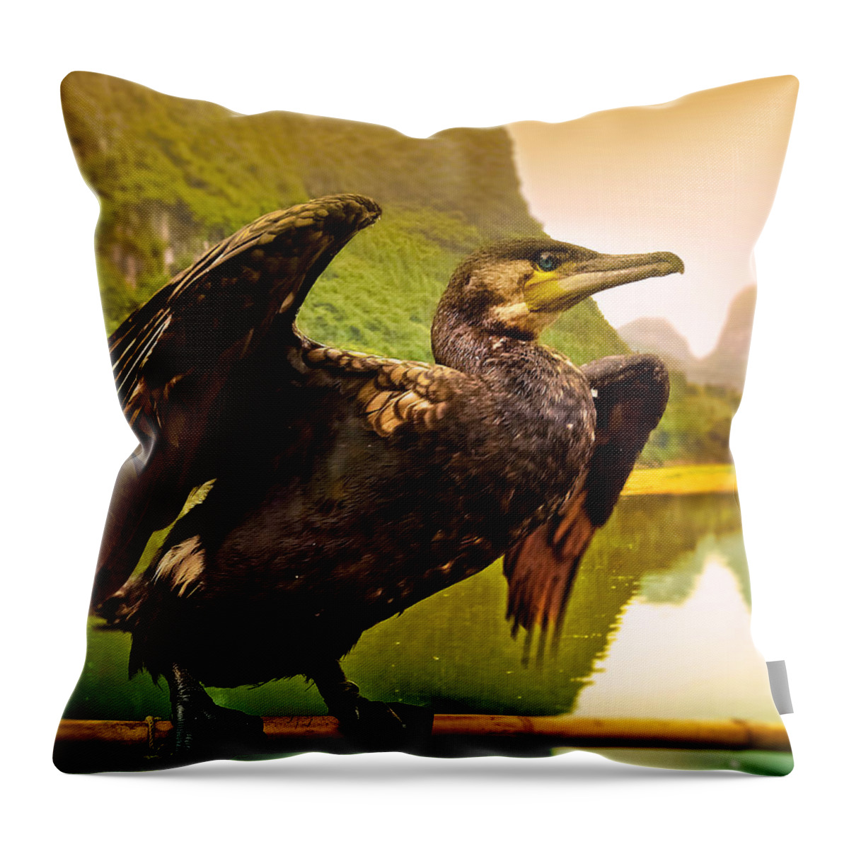 Cormorant Throw Pillow featuring the photograph Cormorant ready to go fishing-China Guilin scenery Lijiang River in Yangshuo by Artto Pan