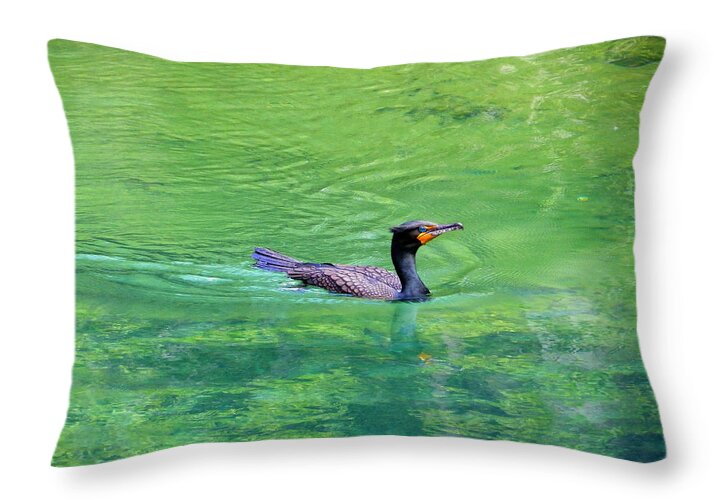 Nature Throw Pillow featuring the photograph Cormorant Spring by Judy Wanamaker