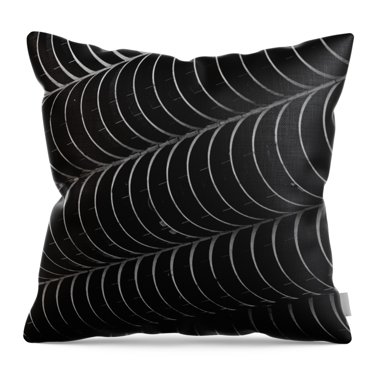 Chicago Throw Pillow featuring the photograph Corn Cob Chicago Abstract by Debra Banks