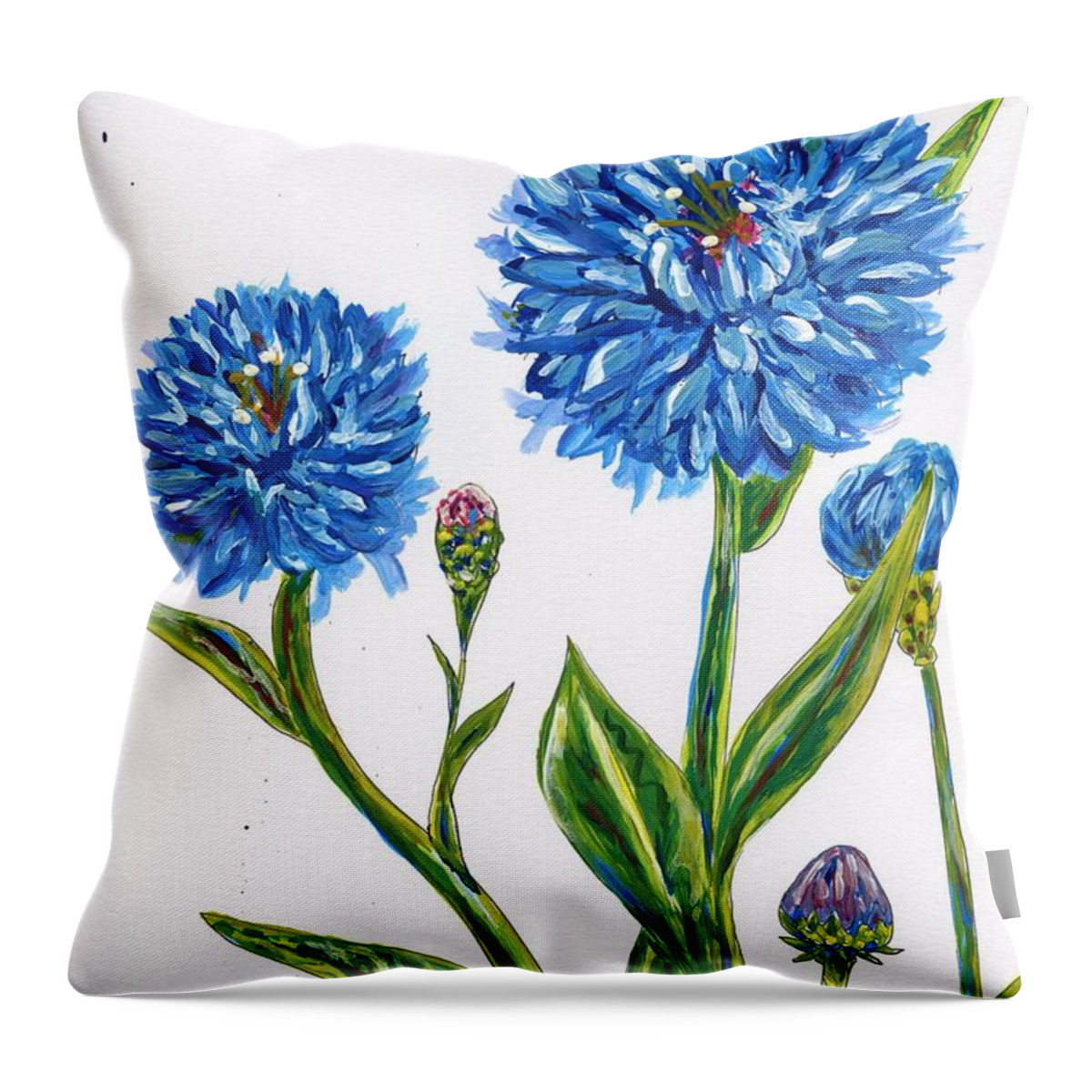 Corn Flowers Throw Pillow featuring the painting Corn Flowers Illustration by Catherine Gruetzke-Blais