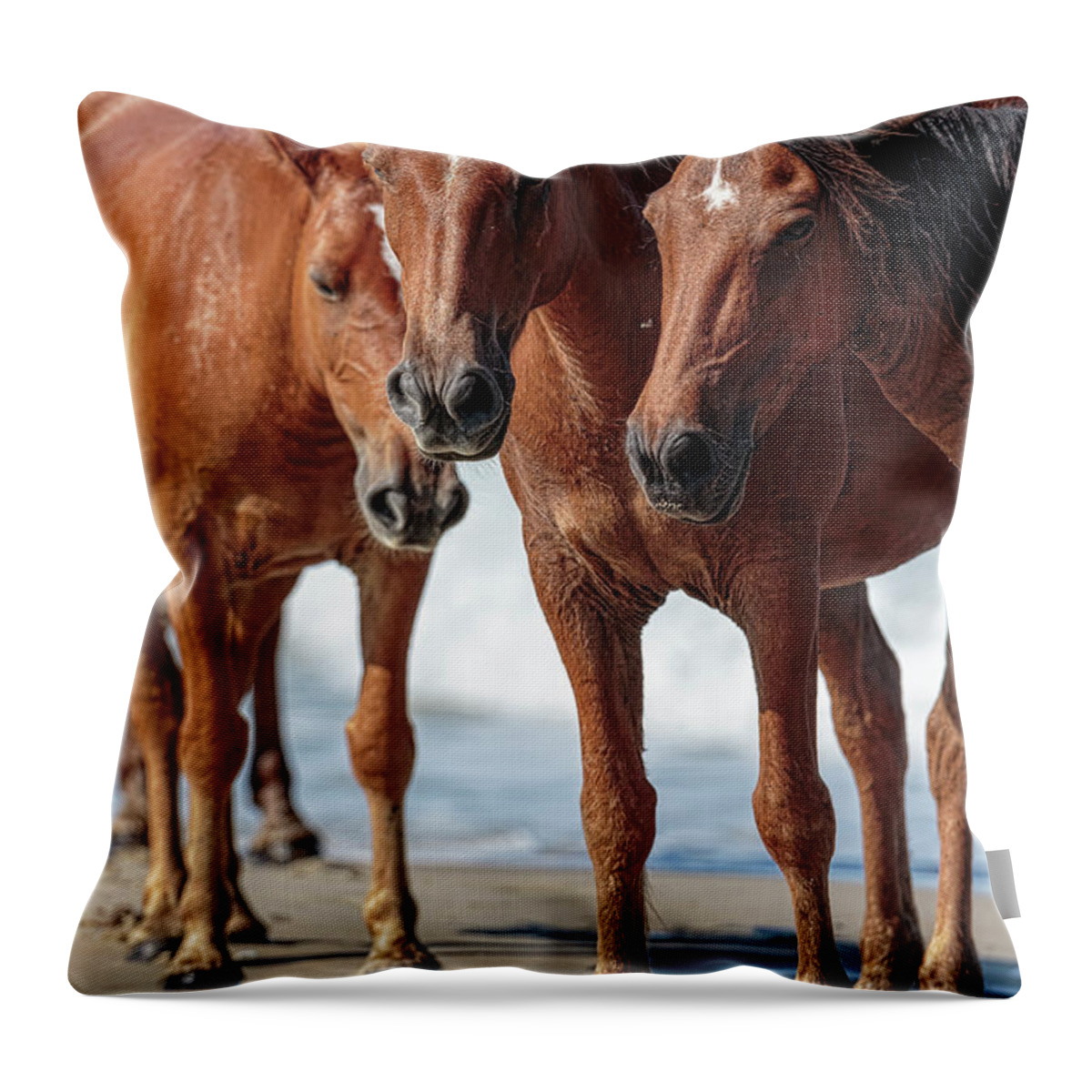 Wild Horse Throw Pillow featuring the photograph Corolla Horses VII by Glenn Woodell