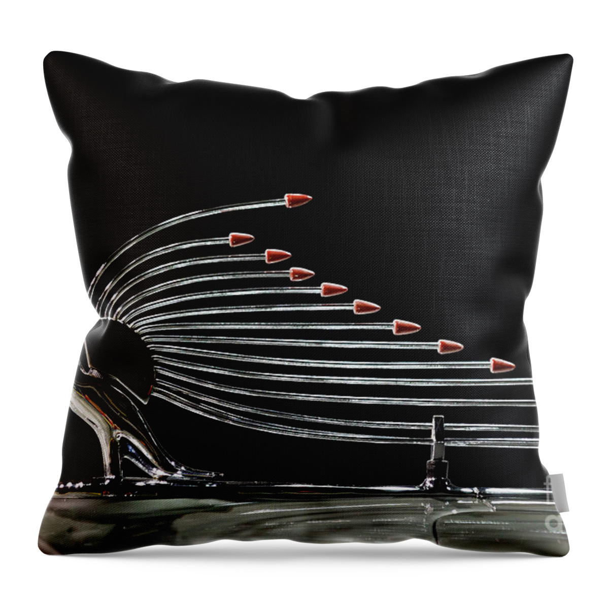 Packard Throw Pillow featuring the photograph Cormorant Antenna by Dennis Hedberg