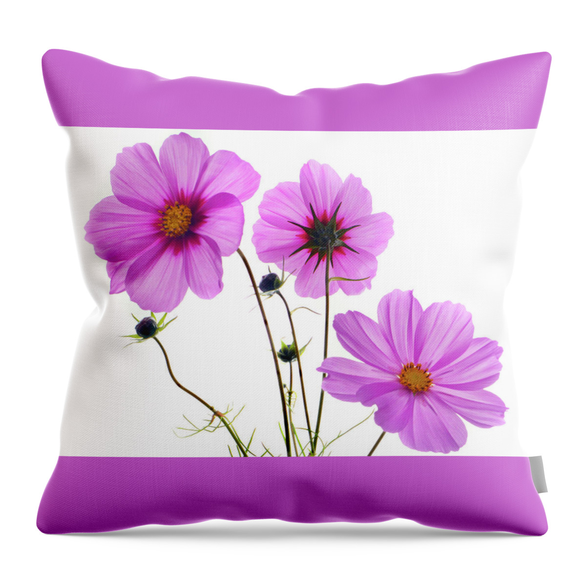 Cosmos Flowers Throw Pillow featuring the photograph Cosmos Trio by Terence Davis