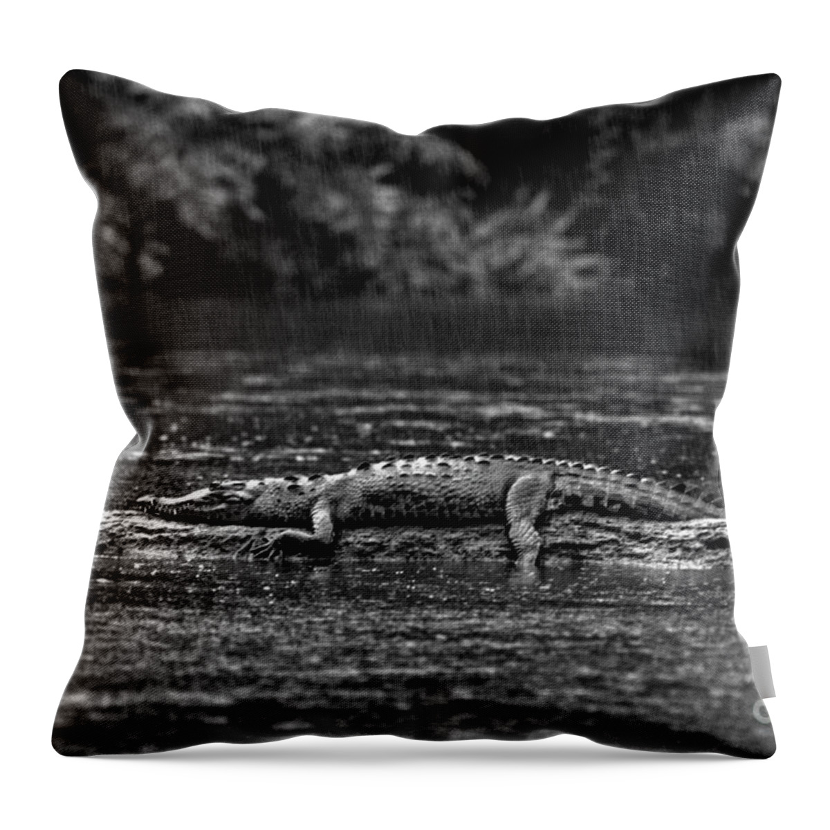 Black And White Throw Pillow featuring the photograph Costa_rica_25-17 by Craig Lovell