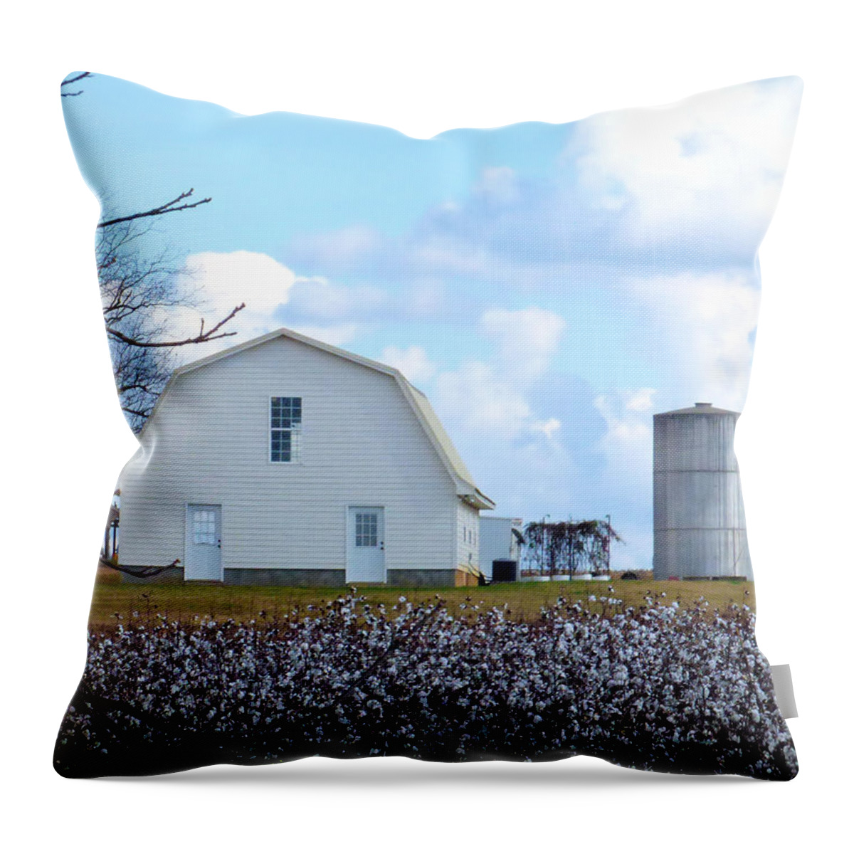 Cotton Throw Pillow featuring the photograph Cotton Patch White Barn by Rosalie Scanlon
