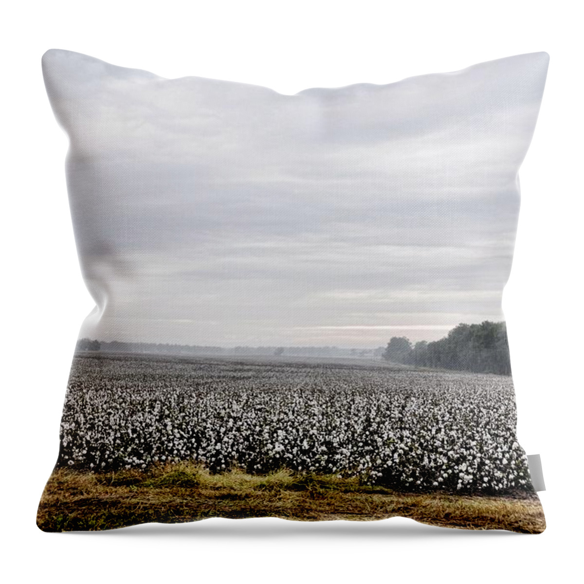 Landscapes Throw Pillow featuring the photograph Cotton Under The Mist by Jan Amiss Photography