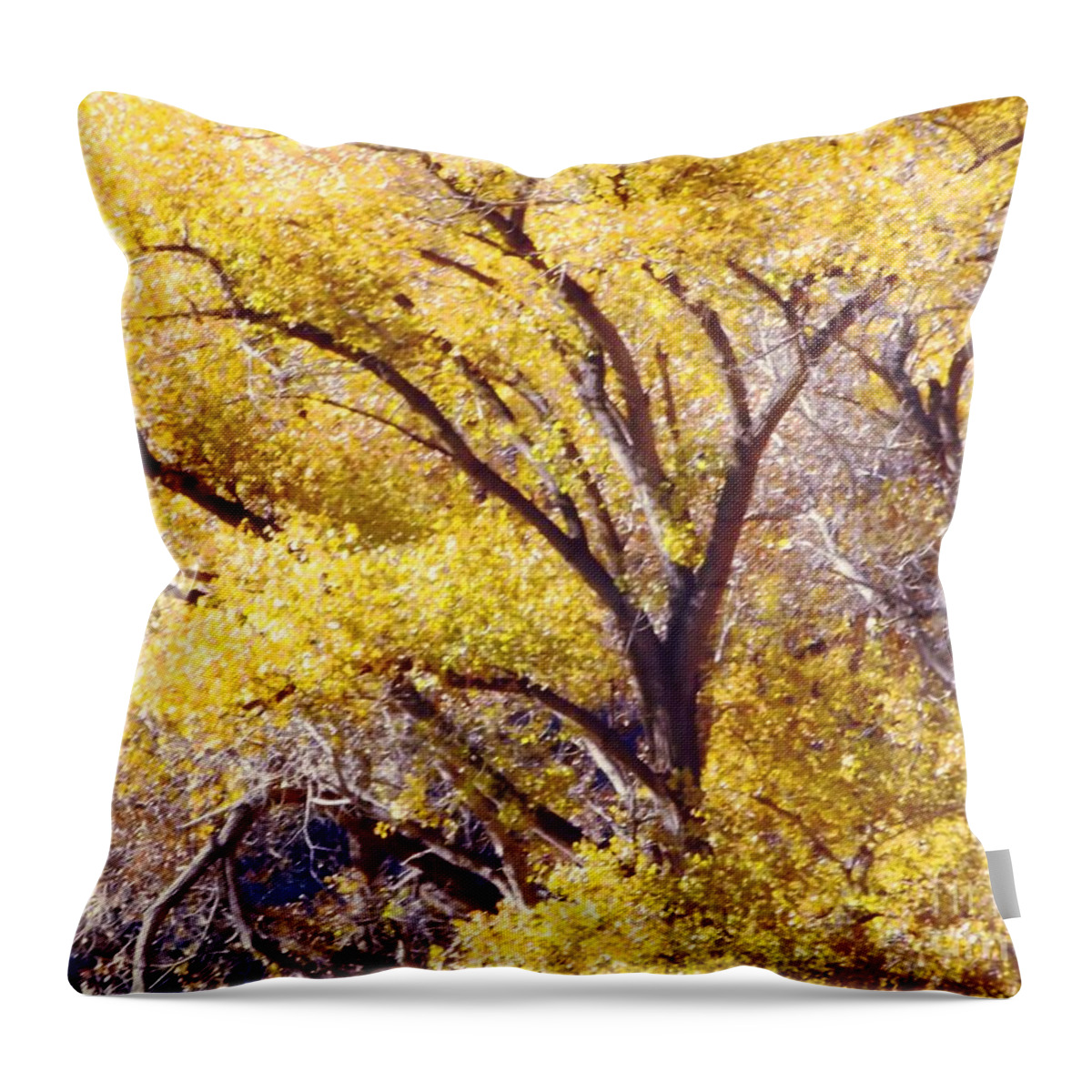 Yellow And Lavenders Close Up Of Trees And Leaves Throw Pillow featuring the digital art Cottonwood golden leaves by Annie Gibbons
