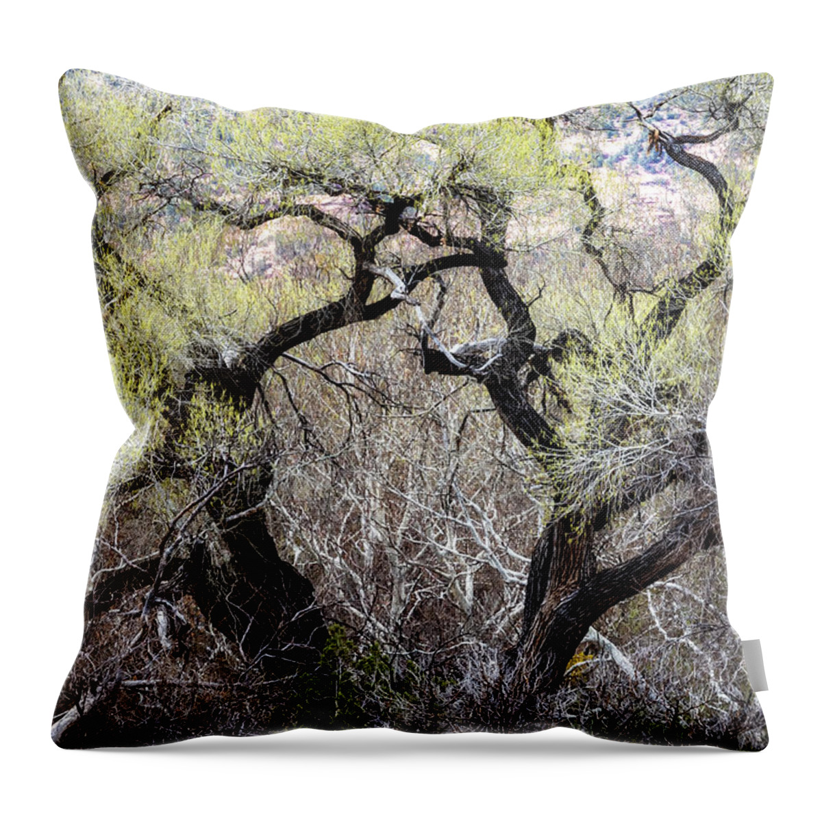 Cottonwood Throw Pillow featuring the photograph Cottonwood in Spring by Belinda Greb
