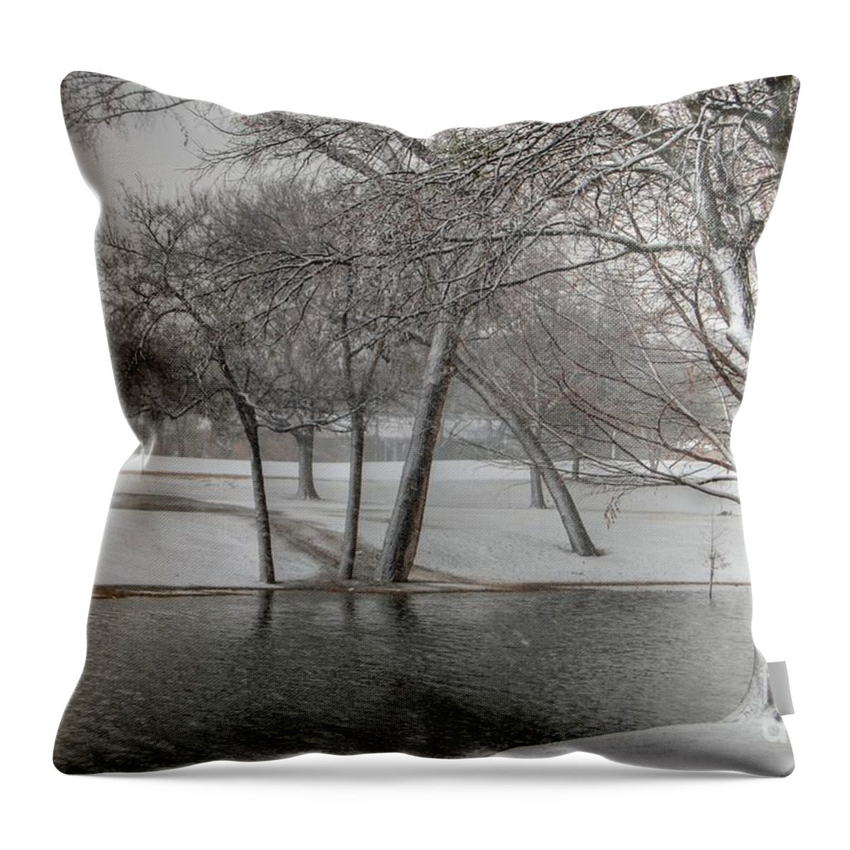 Parks Throw Pillow featuring the photograph Cottonwood Park Winter 2 by Bill Hamilton