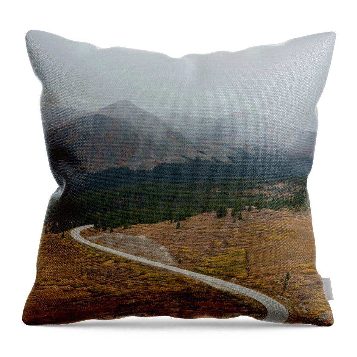 Colorado Throw Pillow featuring the photograph Cottonwood Pass #1 by Dana Sohr