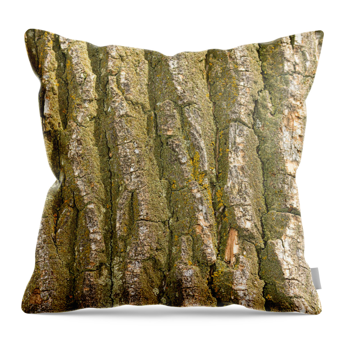 Cottonwood Throw Pillow featuring the photograph Cottonwood Tree Bark Texture by James BO Insogna