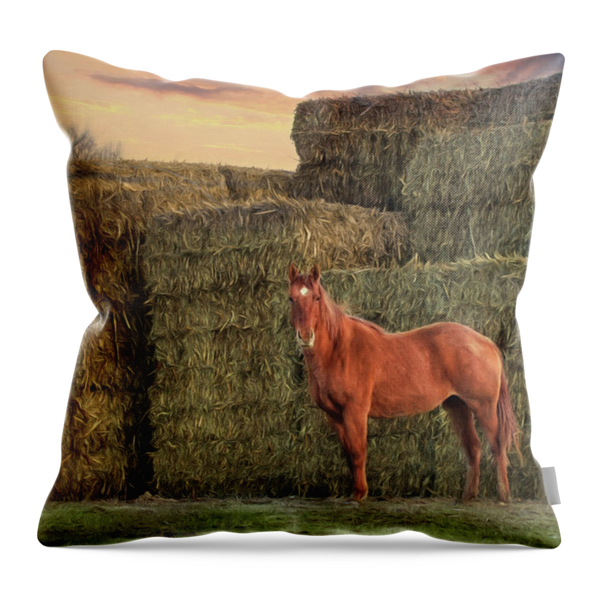 Stack Throw Pillow featuring the photograph Country Buffet by Lori Deiter