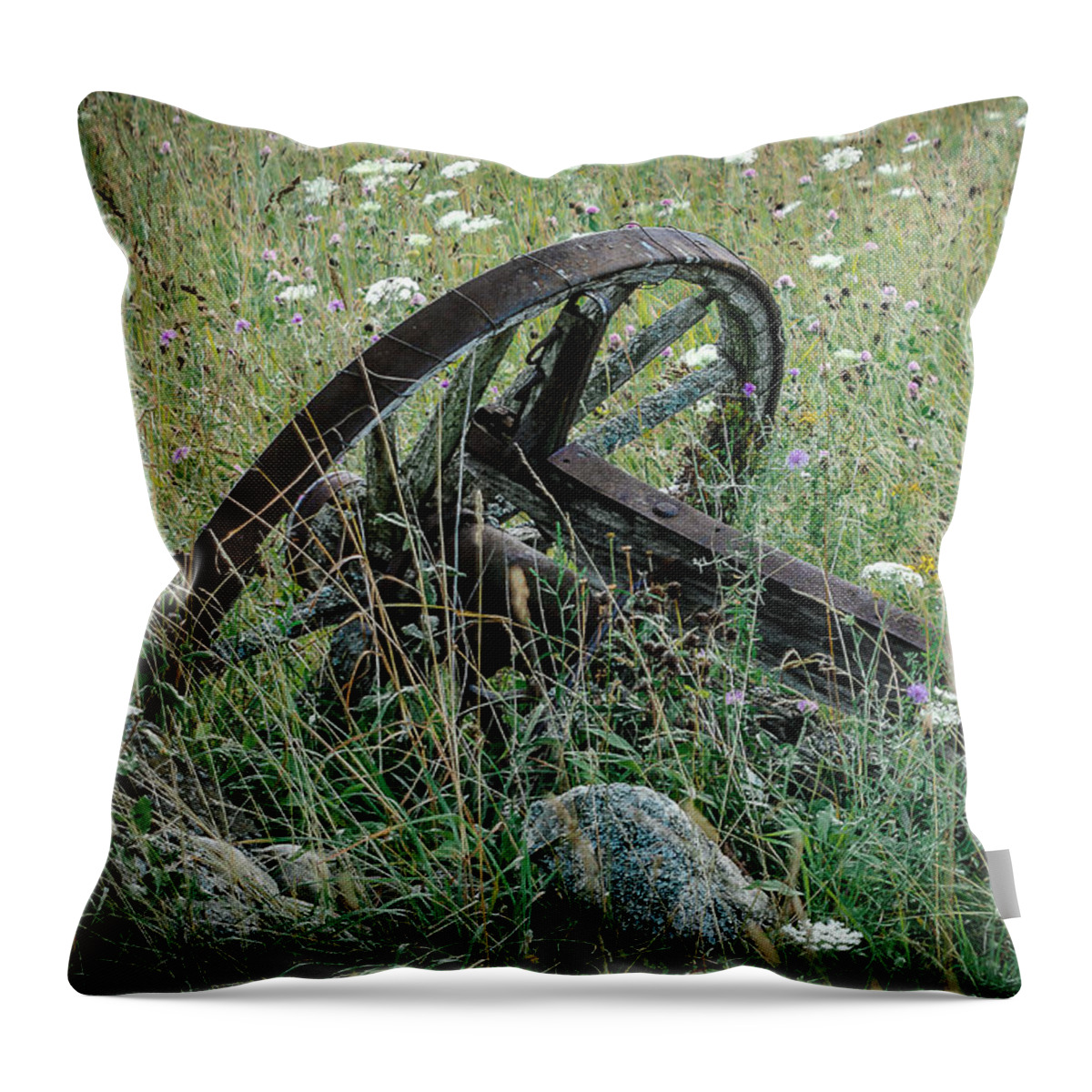 Wagon Wheel Throw Pillow featuring the photograph Country Drive by Rick Bartrand