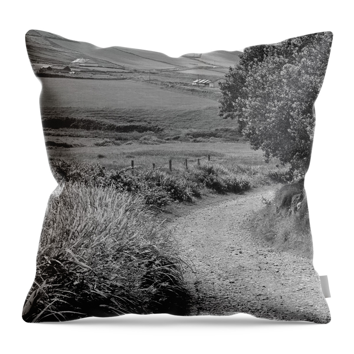 Ireland Throw Pillow featuring the photograph Country Lane by Matt MacMillan