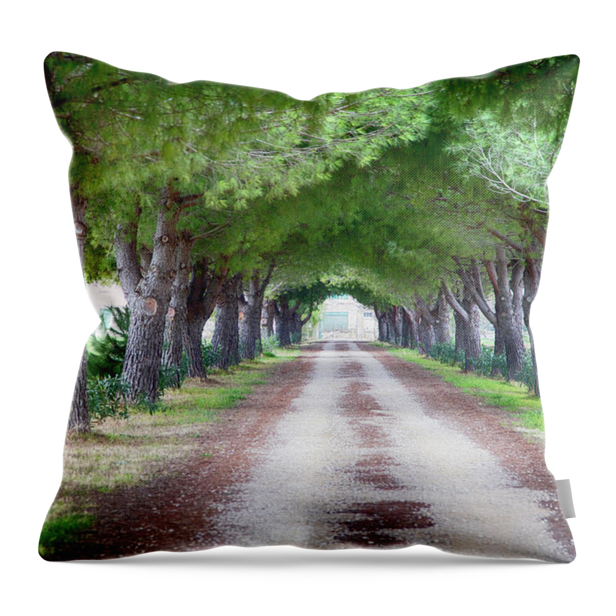 Vendres Throw Pillow featuring the photograph Country Lane Vendres France by Hugh Smith