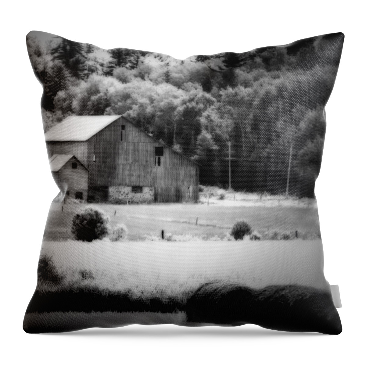 Barn Throw Pillow featuring the photograph Country Living by Cathy Beharriell