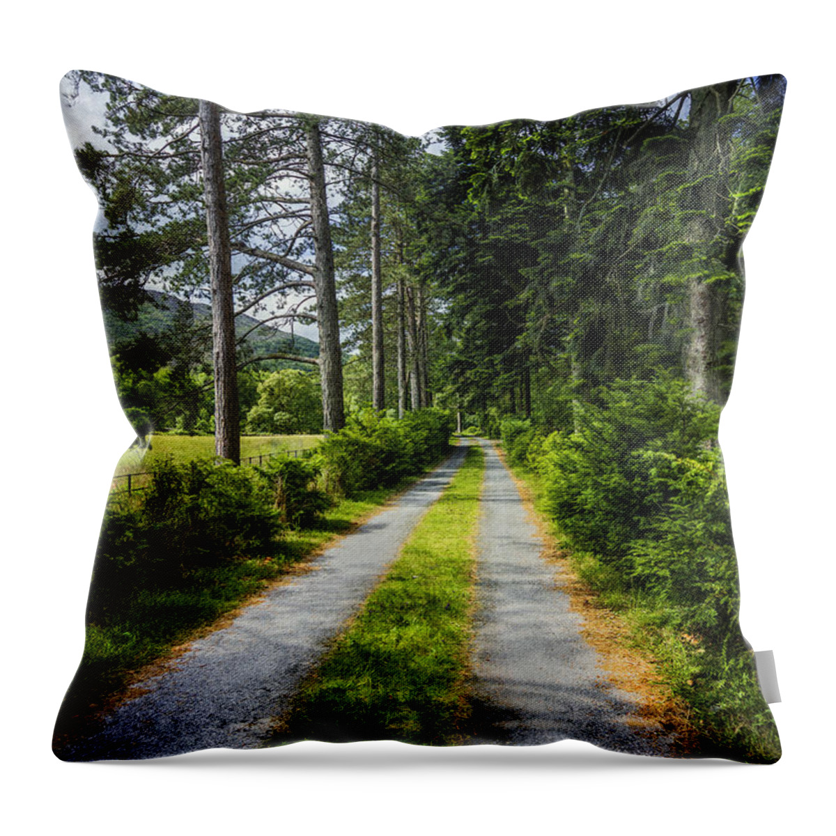 Country Throw Pillow featuring the photograph Country Path Walks by Ian Mitchell