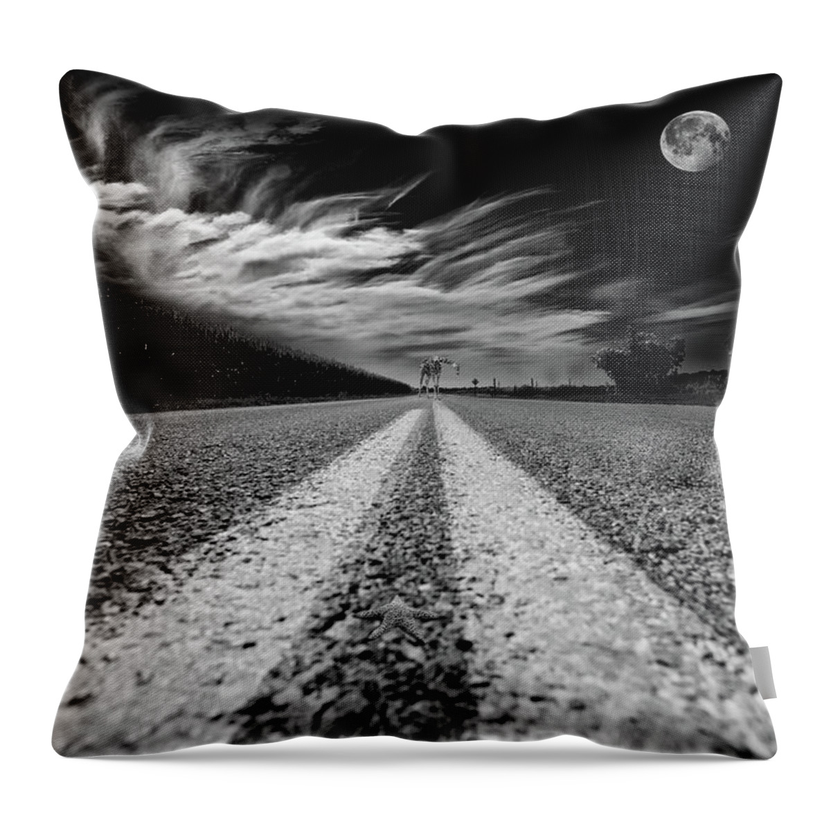 Surrealism Throw Pillow featuring the photograph Country Road 51 by Kevin Cable