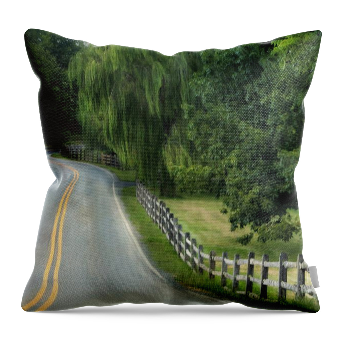 Country Road. Landscape Throw Pillow featuring the photograph Country Road by Beth Ferris Sale