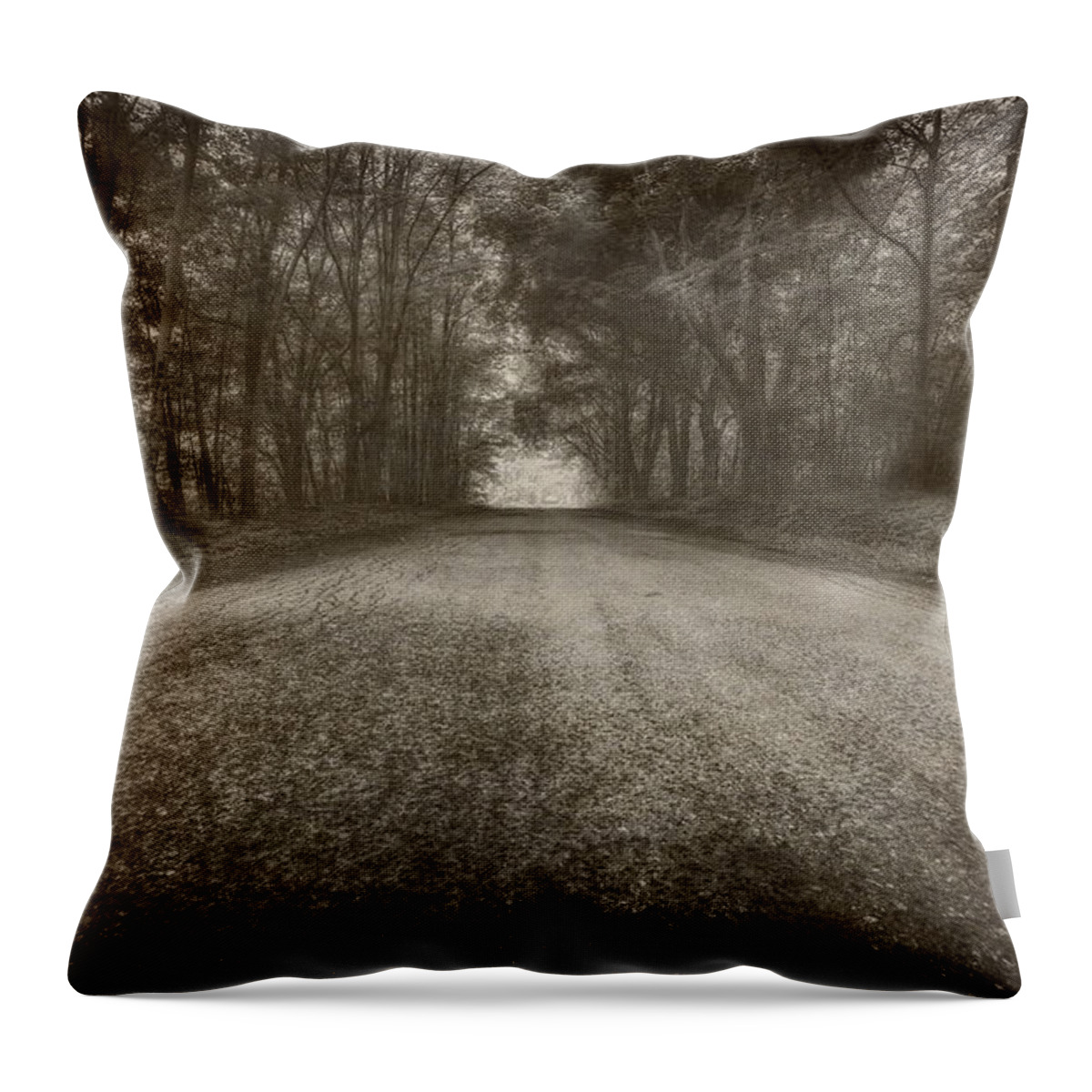 Country Throw Pillow featuring the photograph Country Road by Everet Regal