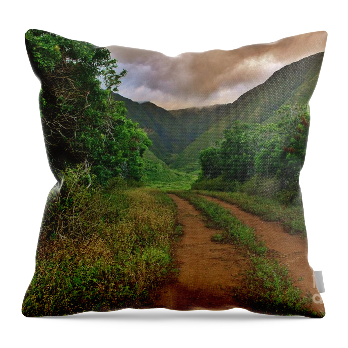 Kalaupapa Throw Pillow featuring the photograph Country Road Kalaupapa, Molokai by Craig Wood