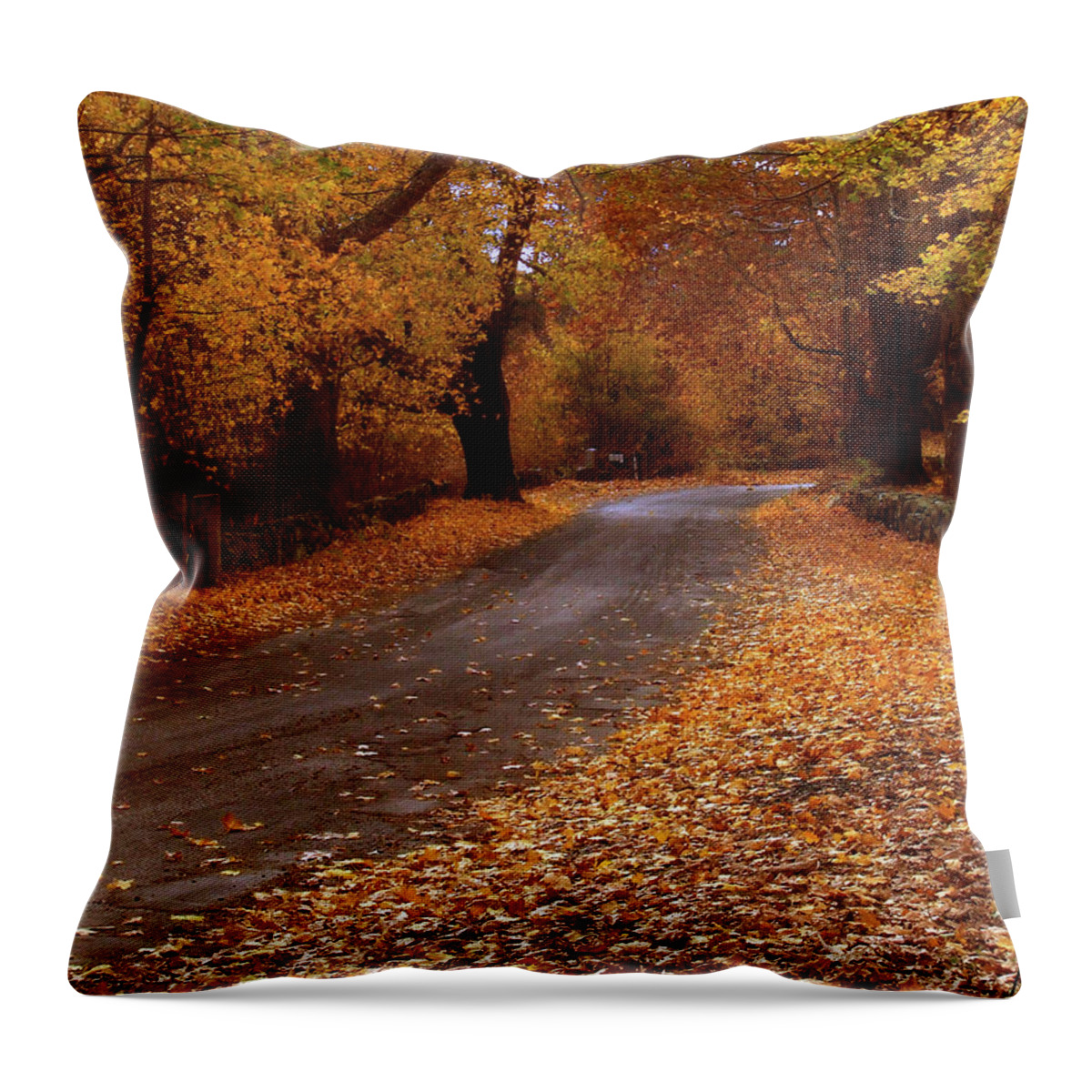  Throw Pillow featuring the photograph Country Road by Mark Valentine