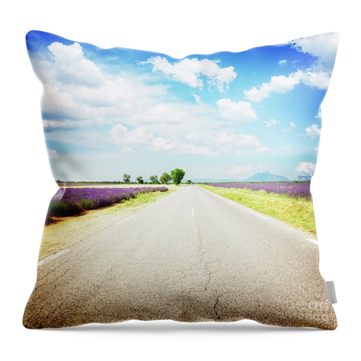 Road Throw Pillow featuring the photograph Country Road of Provence by Anastasy Yarmolovich