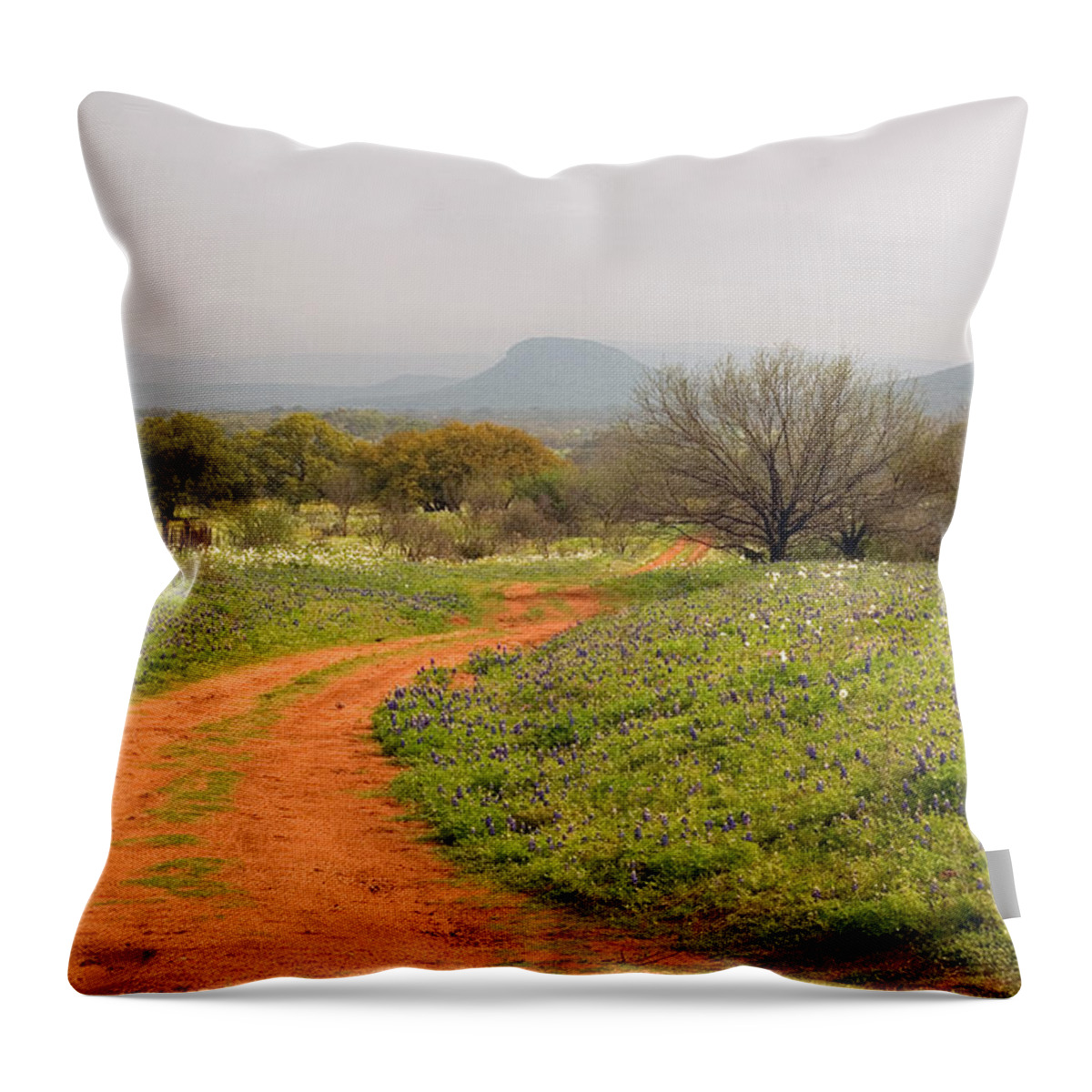 Country Road Throw Pillow featuring the photograph Country Road with Wild flowers by Brian Kinney