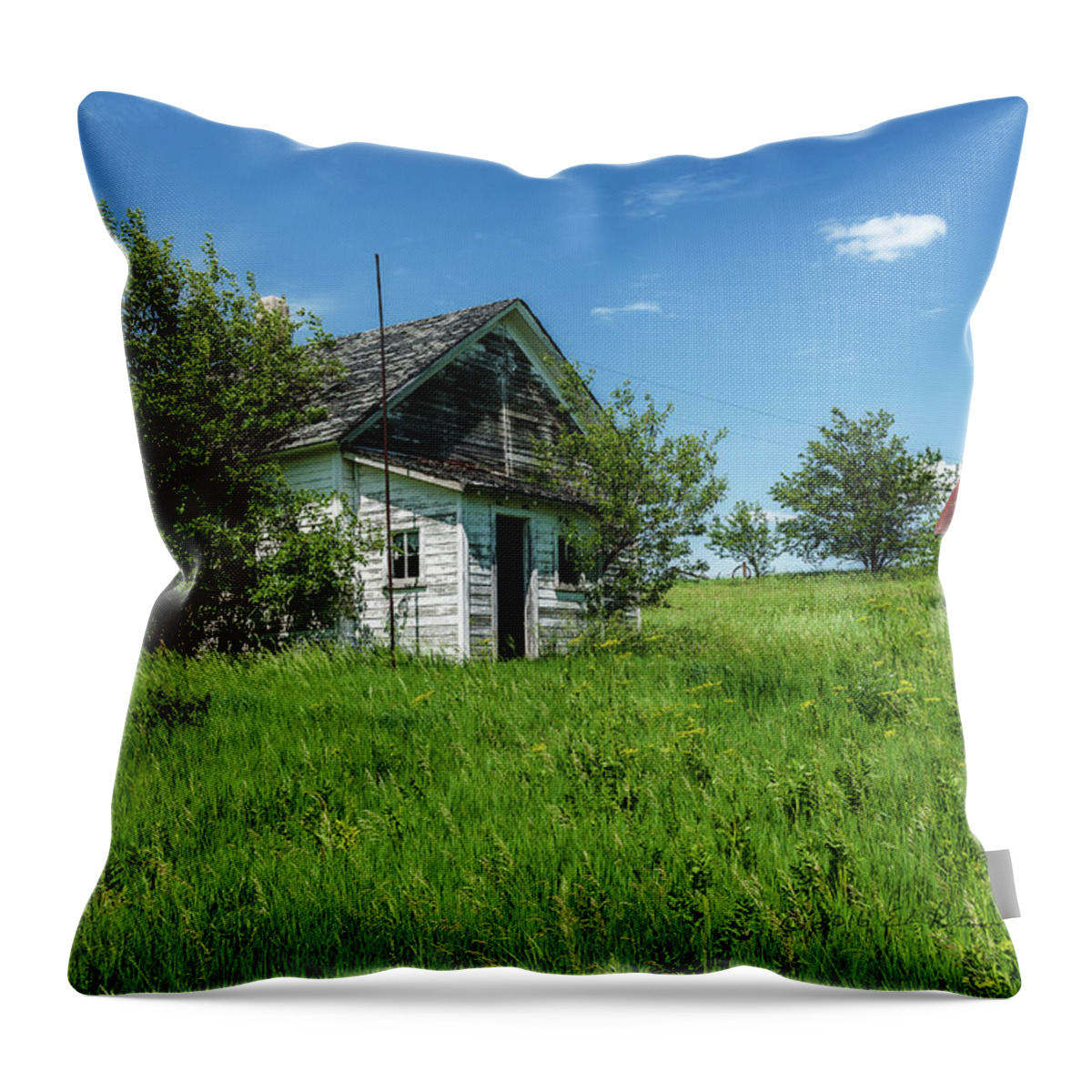 One Day In Iowa Photo Project Throw Pillow featuring the photograph Country School by Ed Peterson