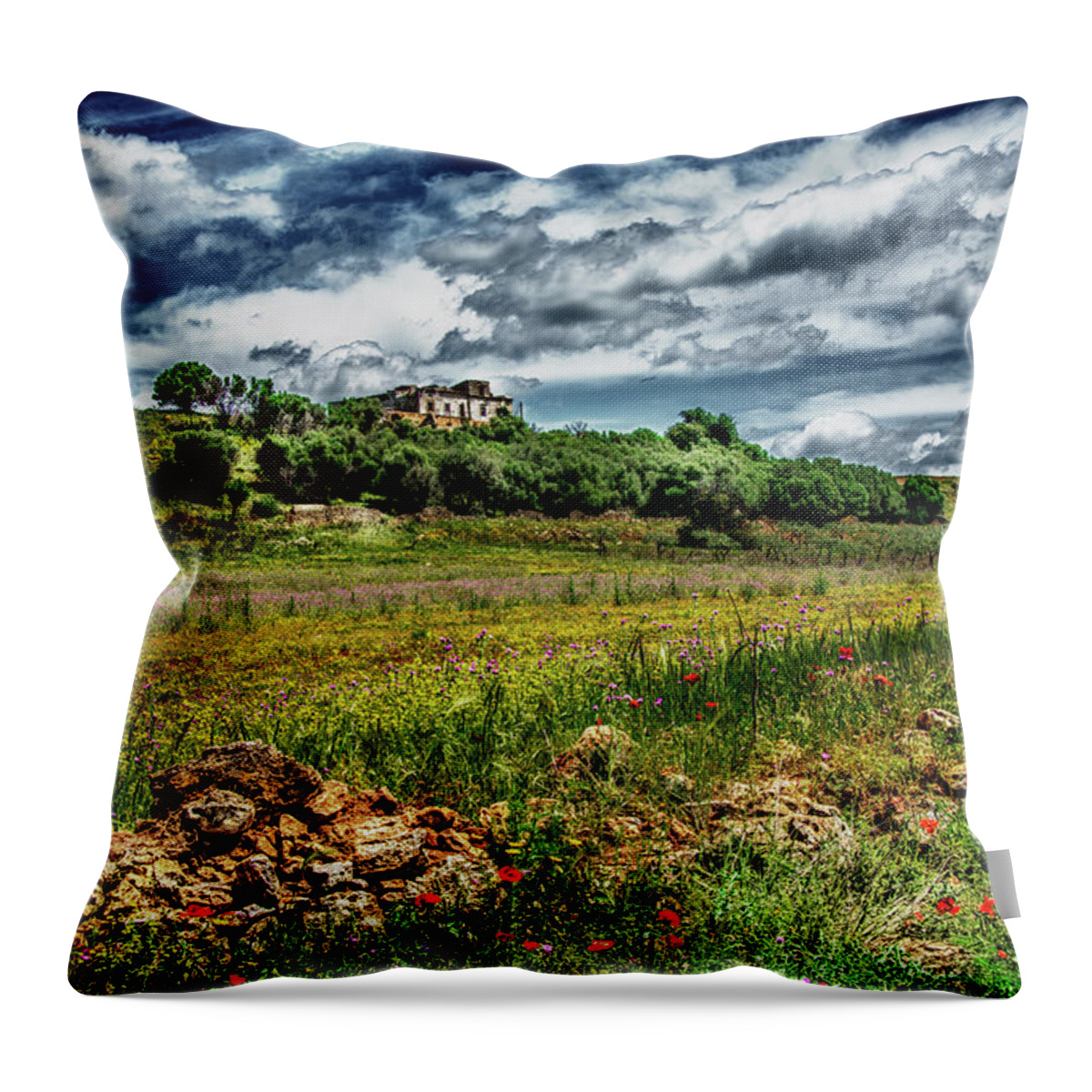  Throw Pillow featuring the photograph Country Side Sicily by Patrick Boening