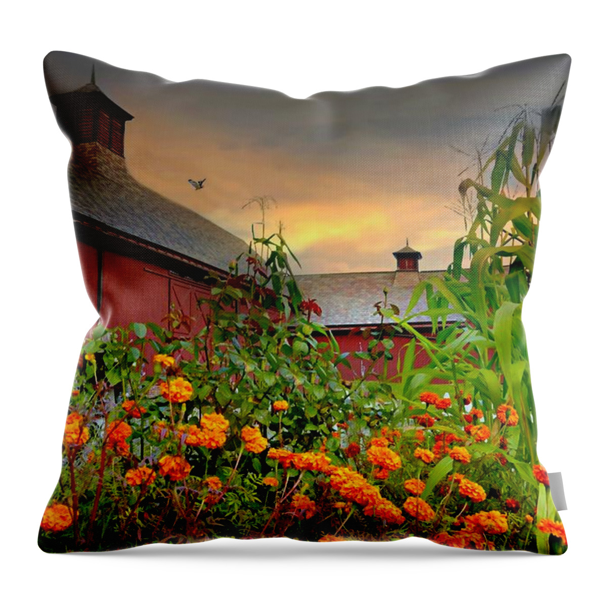 Country Squire Throw Pillow featuring the photograph Country Squire by Diana Angstadt