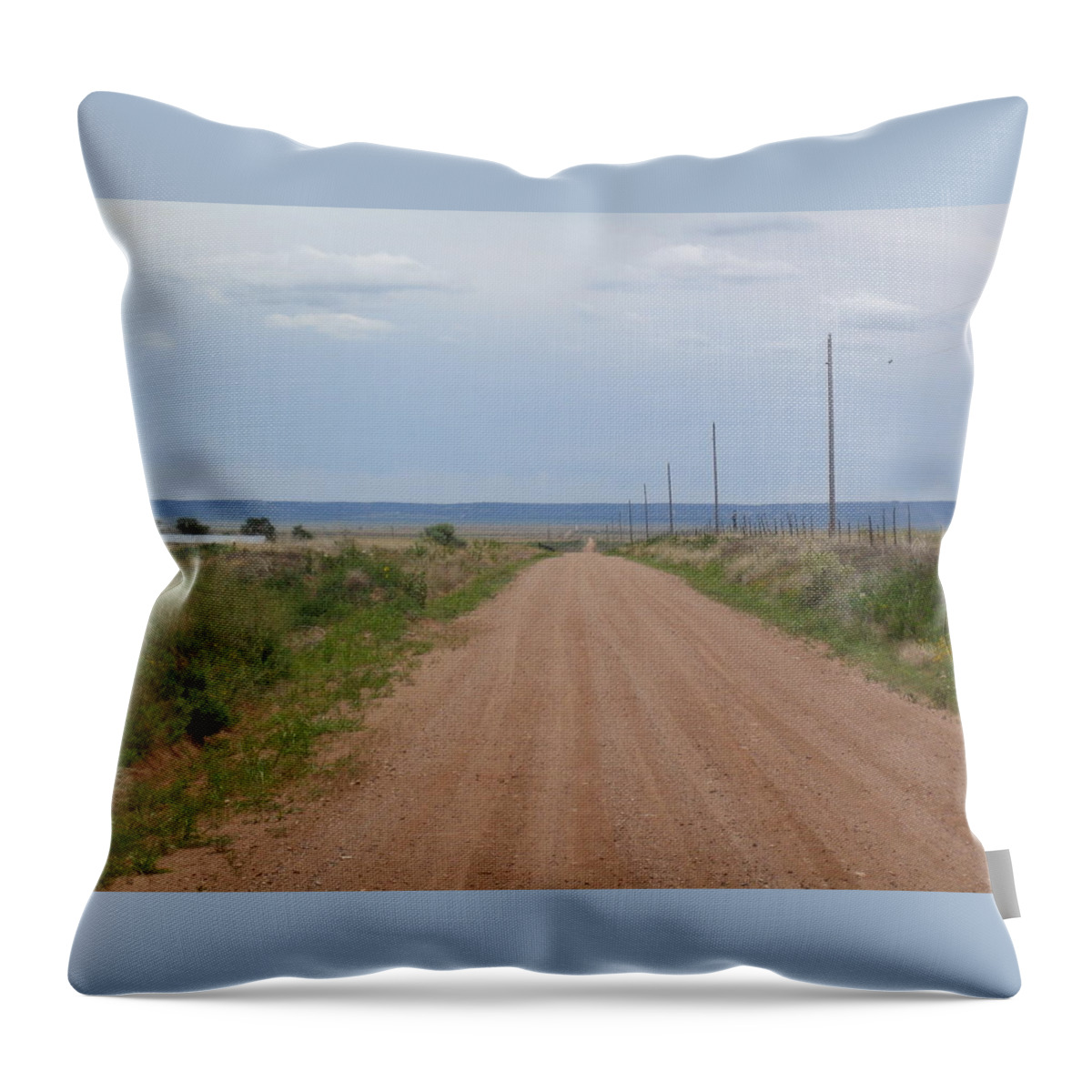  Throw Pillow featuring the photograph Country US road by Nicola De Rossi