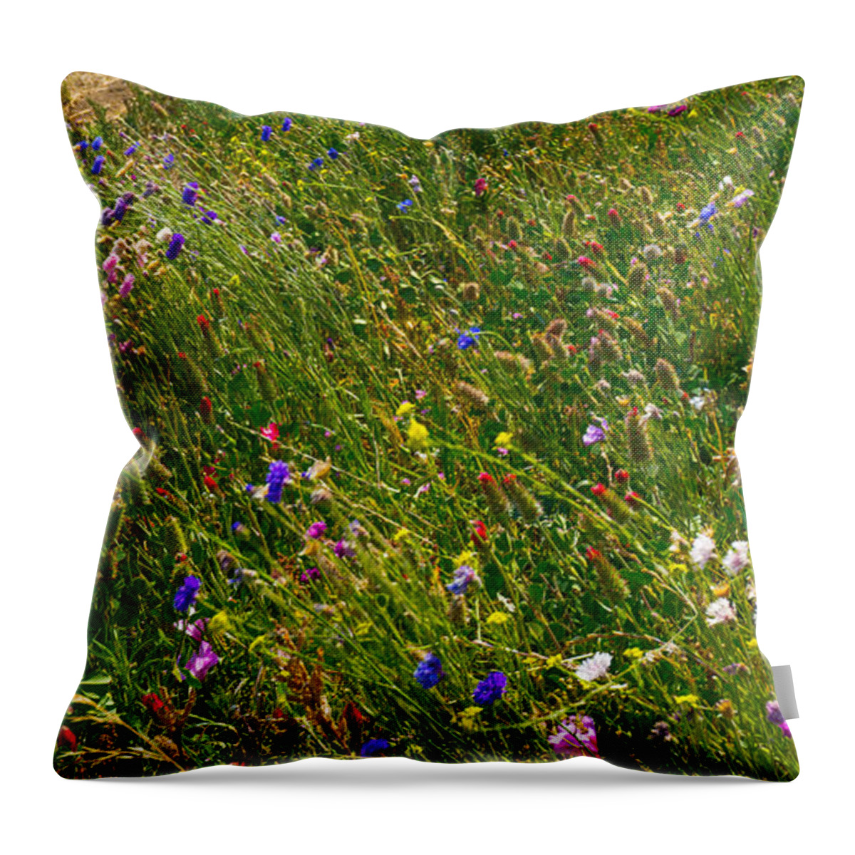 Flowers Throw Pillow featuring the photograph Country Wildflowers I  by Shari Warren