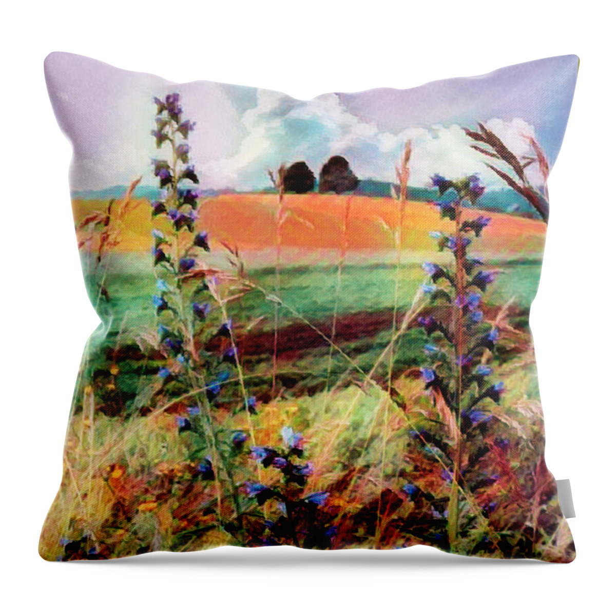 Clouds Throw Pillow featuring the photograph Country Wildflowers Painting by Debra and Dave Vanderlaan