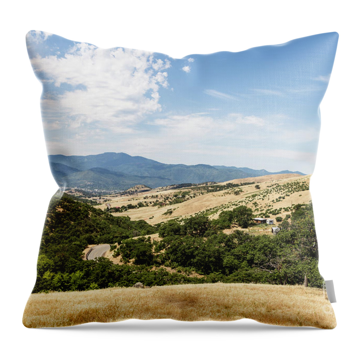 America Throw Pillow featuring the photograph Countryside around Ashland in Oregon, USA by Didier Marti