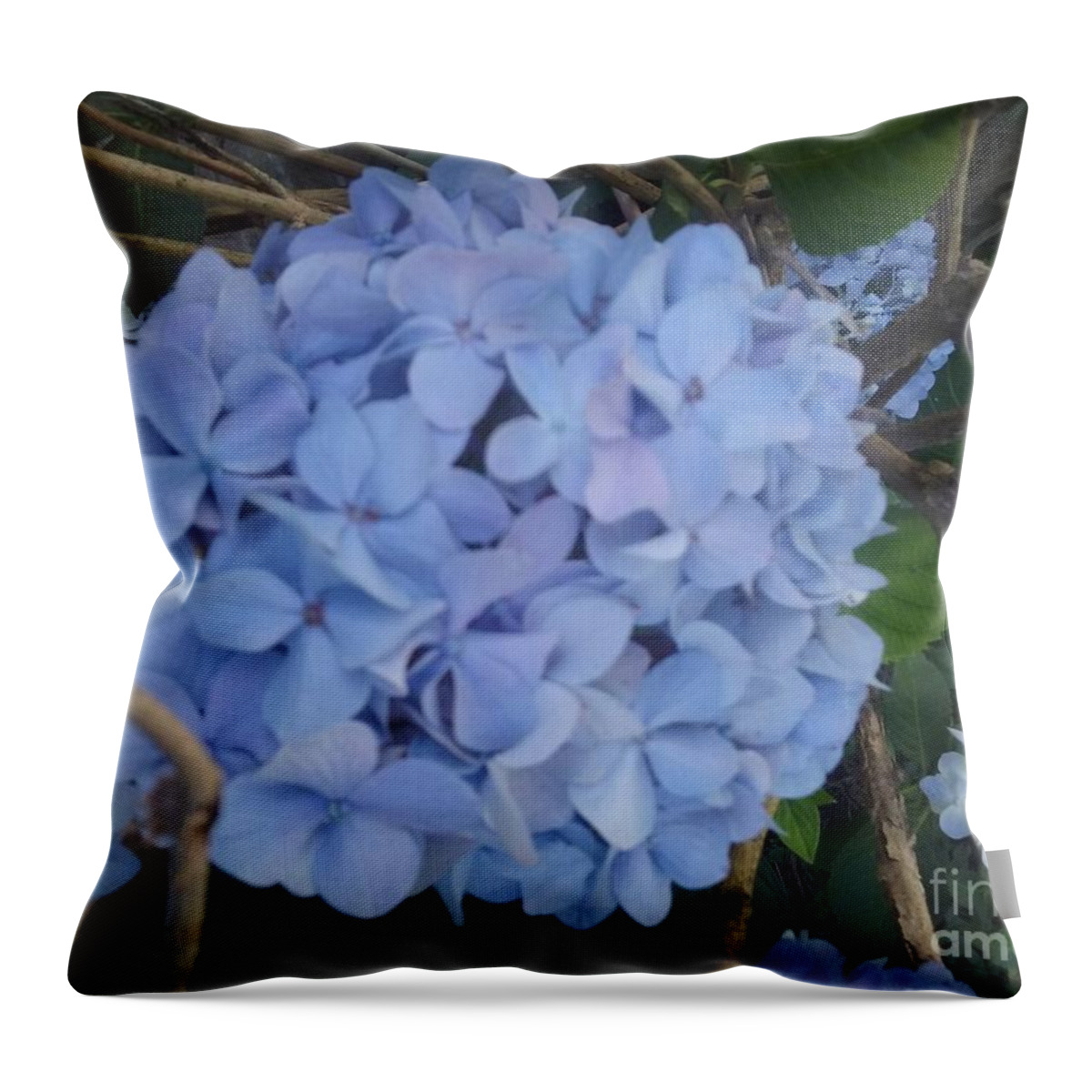 Courageous Throw Pillow featuring the photograph Courageous Hydrangea by Seaux-N-Seau Soileau