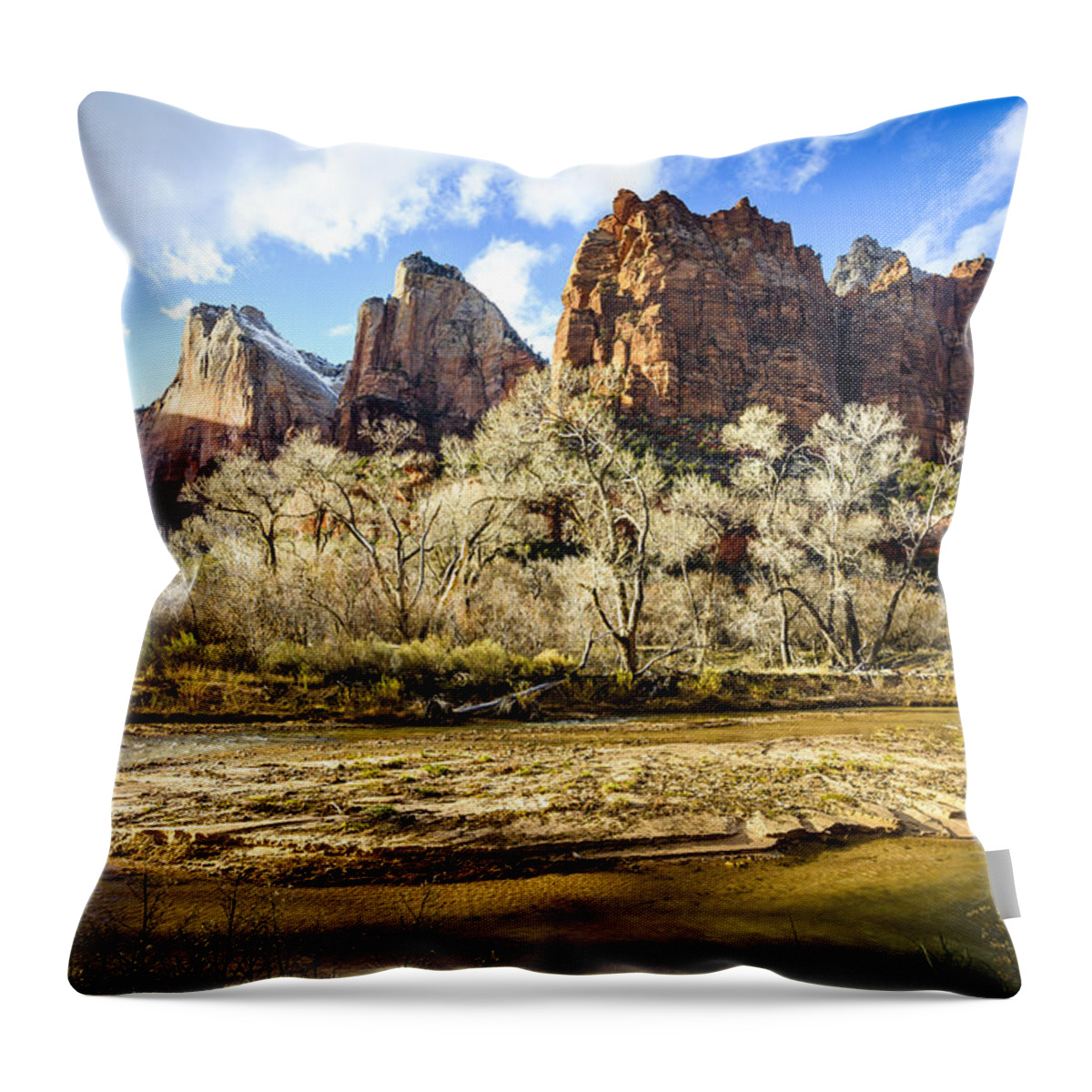 D600 Throw Pillow featuring the photograph Court of the Patriarchs by Joe Doherty