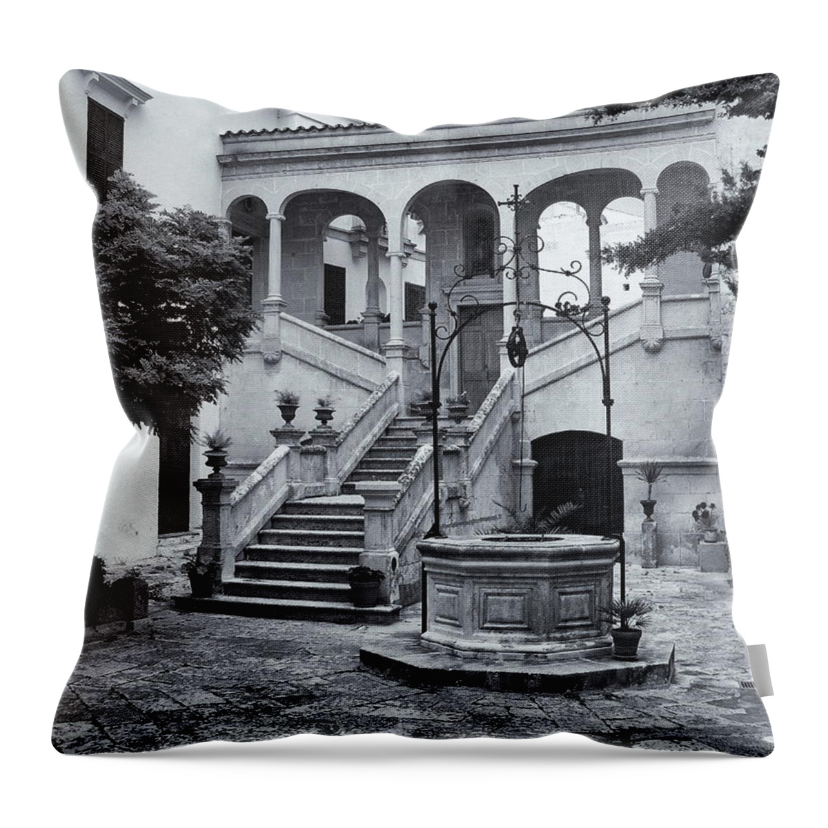 Garden Throw Pillow featuring the photograph Courtyard Garden Momochrome by Jeff Townsend