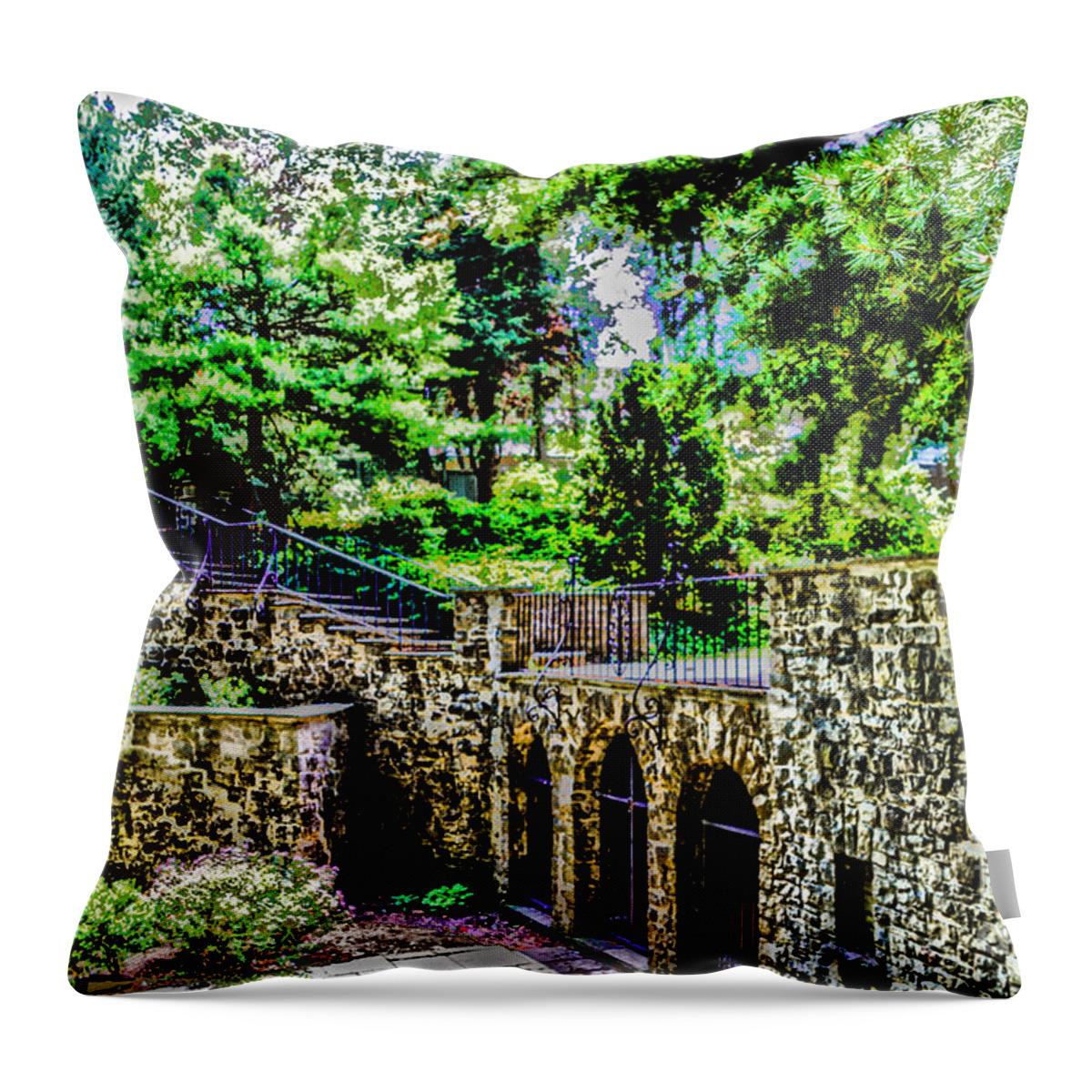 Werner Throw Pillow featuring the photograph Courtyard Walls by William Norton