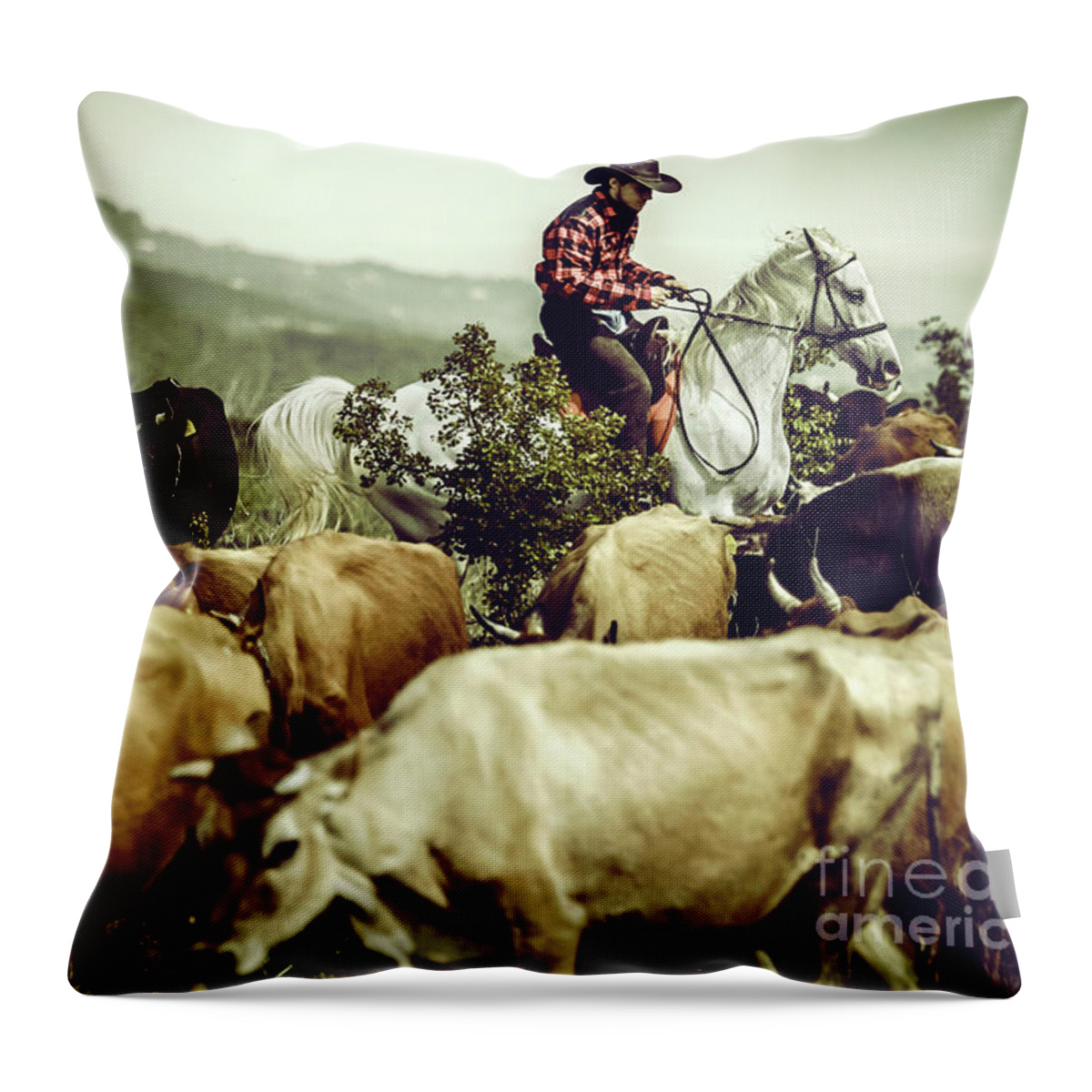 Horse Throw Pillow featuring the photograph Cowboy on cattle round by Dimitar Hristov