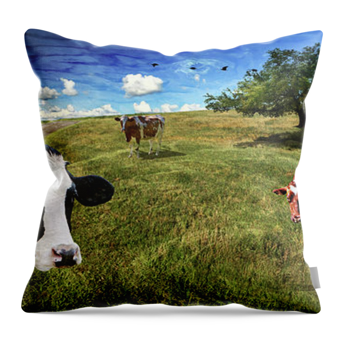 Cows. Field Throw Pillow featuring the photograph Cows in field, ver 3 by Larry Mulvehill