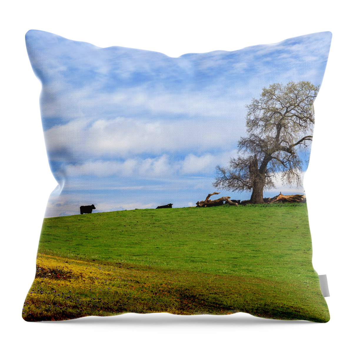Cows Throw Pillow featuring the photograph Cows On A Spring Hill by James Eddy