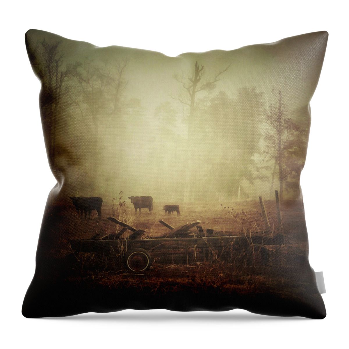Photography Throw Pillow featuring the photograph Cows, Wagon, Fog by Melissa D Johnston