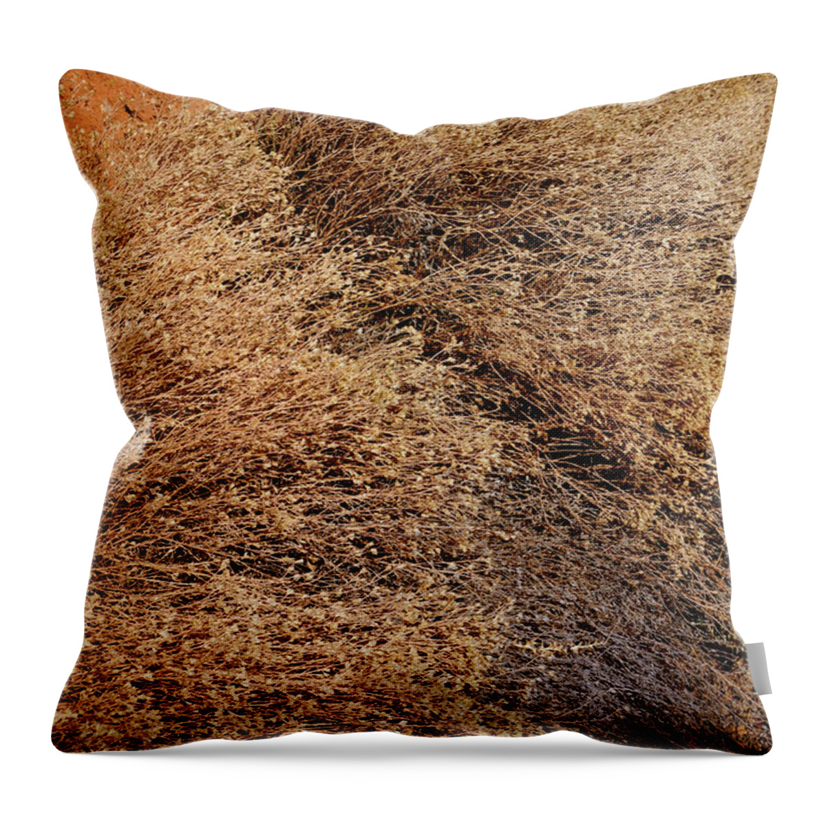 Landscape Throw Pillow featuring the photograph Coyote Brush by Ron Cline