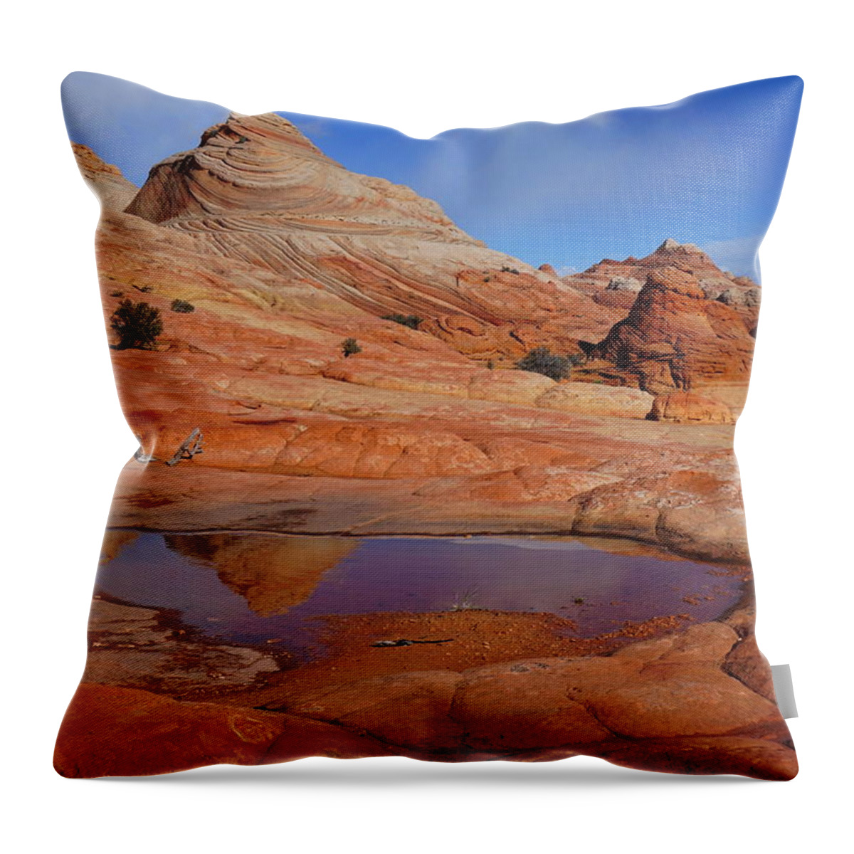 Coyote Throw Pillow featuring the photograph Coyote Butte Reflection by Tranquil Light Photography
